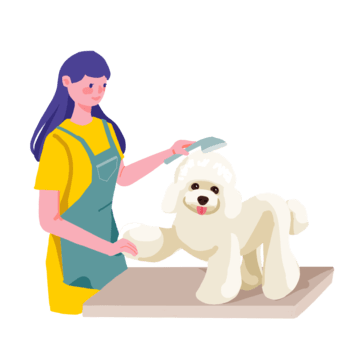 Paris Mobile Dog Grooming