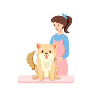 Paris Mobile Dog Grooming